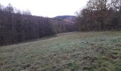 Trail Walking La Roche-en-Ardenne - Samree 131120 - Photo 7