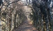 Trail Walking Theux - autour du bois de la porallée - Photo 10