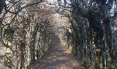 Tocht Stappen Theux - autour du bois de la porallée - Photo 10