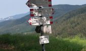 Percorso A piedi Ventasso - (SI L21) Rifugio Sarzana al Monte Acuto - Pratospilla - Photo 4