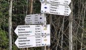 Trail On foot Seewald - Kohlplatte - Schäufflerweg - Photo 6