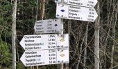 Tour Zu Fuß Seewald - Kohlplatte - Schäufflerweg - Photo 6