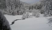 Tour Zu Fuß Willingen (Upland) - Hessenweg 6, Abschnitt Willingen - Welleringhausen - Photo 6