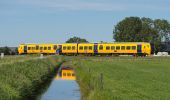 Tour Zu Fuß Kampen - WNW IJsseldelta - 's-Heerenbroek/Wilsum - gele route - Photo 7