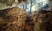 Randonnée Marche Ollioules - Chateauvallon - Courtine - Grottes du patrimoine / Chelo / Croupatier - Cap Gros - Chateauvallon - Photo 18