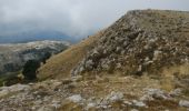 Trail Walking Saint-Vallier-de-Thiey - Montagne de Thiey - Photo 10