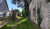 Trail Walking Sprimont - autour de dolembreux  - Photo 13