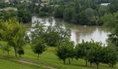 Randonnée Marche Magnac-sur-Touvre - Sources de la Touvre 20-06-2019 - Photo 1