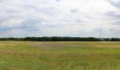 Percorso A piedi Mirow - Müritz-Nationalparkweg - Photo 2