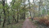 Trail Walking Chaudfontaine - via bois des dames et bois de la rochette  - Photo 3