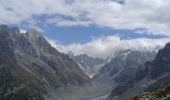 Trail Walking Chamonix-Mont-Blanc - Plan de l'aiguille-Montenvert - Photo 3