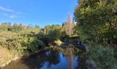 Trail Walking Herbeumont - rando straimont 20-09-2022 - Photo 12