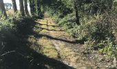 Percorso Marcia Québriac - 29.07.2019 - TANOUARN - Photo 3