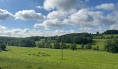 Trail  Tourouvre au Perche - Les collines du perche jour trois - Photo 2