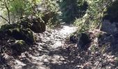 Tour Wandern Peyre en Aubrac - BOUCLE AU DEPART DE FAU DE PEYRE - Photo 4