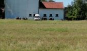 Tour Reiten Falk - Falck, forêt de la Houve  - Photo 2