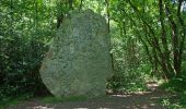 Randonnée A pied Gennes-Val-de-Loire - De Loire et Forêt - Photo 1