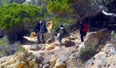 Percorso A piedi La Croix-Valmer - La Croix Valmer - Gigaro - Taillat - Collebasse - Gigaro - Photo 5