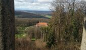 Tour Wandern Rougemont - Rougemont - Photo 5