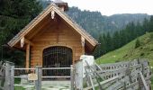 Tour Zu Fuß Saalbach-Hinterglemm - Talschluss Höhenweg - Photo 4