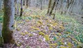 Tocht Stappen Besançon - forêt CHAILLUZ MARCHAUX - Photo 1