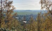 Tocht Stappen La Louvière - Saint-Vaast / Terrils / 2020-11-03 / 15 km - Photo 14