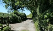 Tour Zu Fuß West Devon - Sticklepath to Belstone Circular - Photo 3