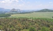 Tour Wandern Sagnes-et-Goudoulet - Les Coux -  Sagne et Goudoulet - La Tour à Eau 14km - Photo 7