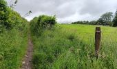 Randonnée Marche Sprimont - plain de fagne . rouge thier . adzeux - Photo 6