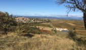 Randonnée Course à pied Puissalicon - Puissalicon - Saint-Pierre de Serjac - Cazilhac - Coulobres- Puech Ginestieu - Photo 1