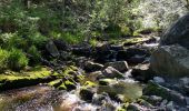 Tour Wandern Jalhay - La hoëgne juin - Photo 2