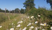 Tocht Stappen Valorbiquet - Aux alentours de St Cyr  - Photo 12