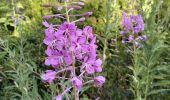 Tour Wandern Morzine - 74-Avoriaz-cretes-belvedere-10km-360 - Photo 10