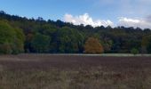 Randonnée Marche Les Ventes - Forêt des Ventes - Photo 2