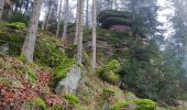 Randonnée Marche Rombach-le-Franc - Col de Fouchy  - Photo 14