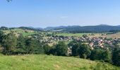 Randonnée Trail Laussonne - Plateau de Fraysse(17K 450D+) - Photo 1