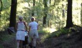 Tour Zu Fuß Büllingen - GrWandArd 15 Büchholz de pracht van het NP Eifel (PVDB) - Photo 1