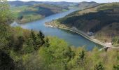 Tour Zu Fuß Diemelsee - Heringhausen H6 - Photo 7