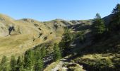 Trail Walking Valdeblore - Les Lacs des Millefonts  (Variante) - Photo 3