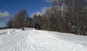 Trail Cross-country skiing La Bresse - tour des champis - Photo 1