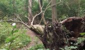 Tocht Stappen Bergen - Lieu dit le Bois brûlé  - Photo 15