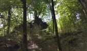 Tocht Stappen Lauroux - Labeil - Forêt de l'Escandorgue - Photo 7