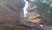 Tour Wandern Zabern - Les 4 châteaux de Saverne - Photo 14