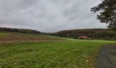 Excursión Marcha nórdica Chaumont-Gistoux - dion bonne Longueville  - Photo 8