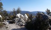 Excursión Senderismo Bormes-les-Mimosas - le Trapan,Brégançon, l'Estagnol,Leoube Pellerin  - Photo 10