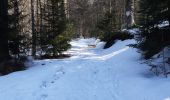 Randonnée Marche La Bresse - col de bramont - Photo 6