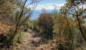 Trail Walking Draguignan - Malmont 10 km - Photo 2