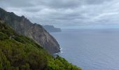 Trail Walking Porto da Cruz - Machico to Porto Da Cruz - Photo 11