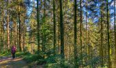 Tour Wandern Bouillon - 2024-09-15_08h33m03_Les Hayons Bouillon - Photo 8