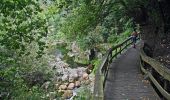 Percorso A piedi Sistelo - Trilho do Miradouro da Estrica - Photo 8